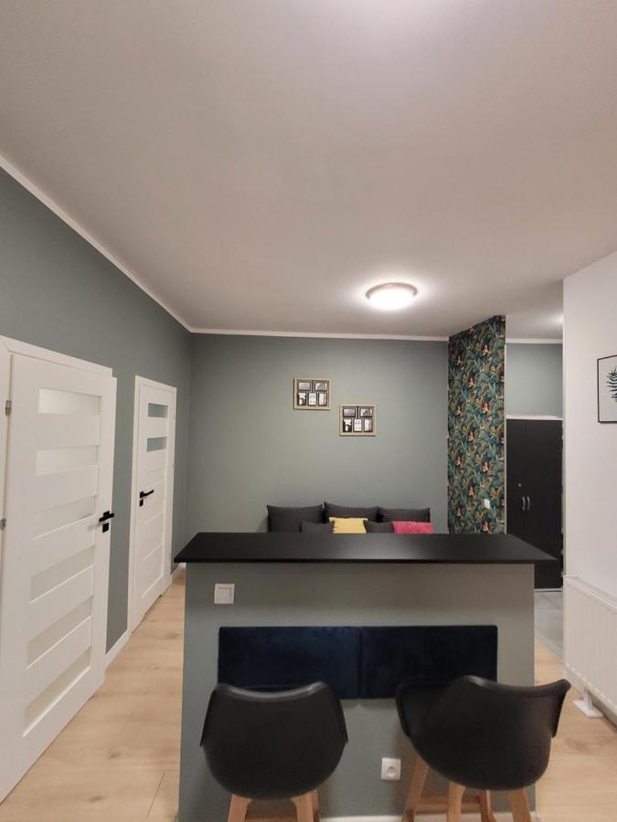 Apartamenty Cieplicka 20 Jelenia Gora Exterior photo